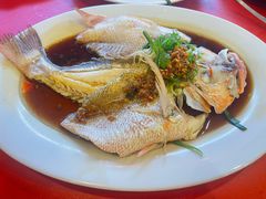 -大树下海鲜饭店