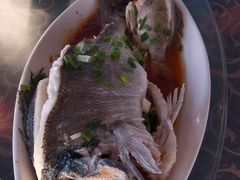 -七鲜渔港美食餐厅(巽寮湾海景店)
