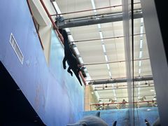 -安徽省地质博物馆