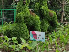 -长白岛森林公园