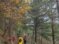 -明堂山风景区