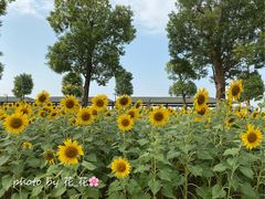 -仙岳公园