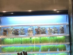 大堂-东来顺饭庄(apm总店)