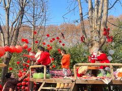 -HERRE·FARM 赫尔露营农场·团建聚会包场