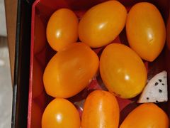 -蒙都43°9羊火锅·赤峰美食(宁城店)