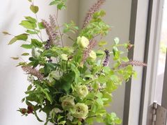 -荷兰布尔玛国际花艺学院