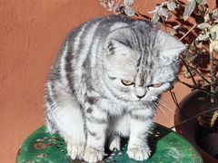 -水库活鱼馆(于桥水库店)