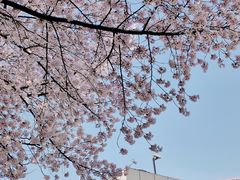 -南浦大桥长途旅游客运站