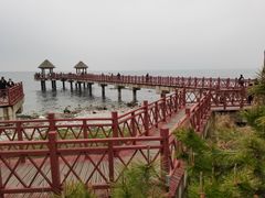 -养马岛旅游度假区