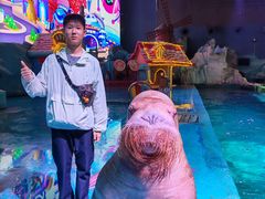 -大连圣亚海洋世界