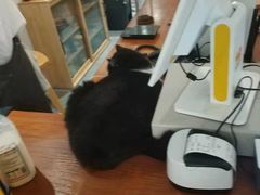 -猫友咖啡店(玉林西路店)
