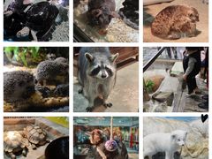 -顺德南宏海立方海洋公园