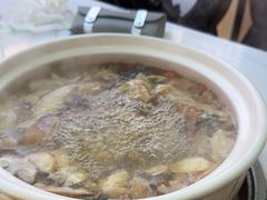 -蘑统田下·野生菌火锅