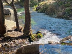 -玉渡山自然风景区