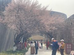 -国际非物质文化遗产博览园