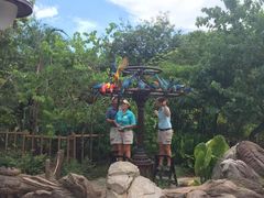 -奥兰多迪士尼动物王国乐园