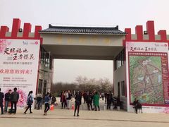 -天王浮山樱花园