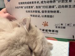 -守诺宠物医院·眼科· 特色牙科·异宠专科(虹口店)