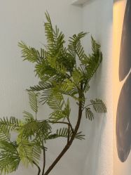 -小梨·OndaPro·专业脱毛连锁机构