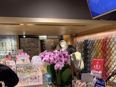 -猫的天空之城概念书店(苏州诚品店)