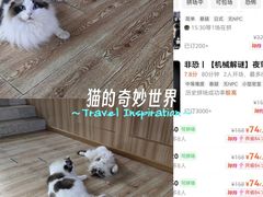 -白兔子密室(长寿路店)