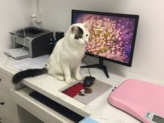 -福州肆爪动物医院