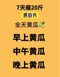 -Fundi张玉珊修身堂·indiba·BTL科技瘦身