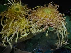 -共青国家森林公园-南大门停车场