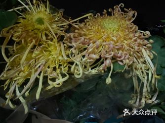 捎上一颗菊，看下一段舞