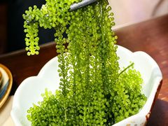 -鸟泉居酒屋·烧鸟·酒馆(百子湾店)