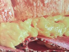 -COSTA COFFEE(上海五玠坊店)