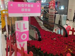 -和安·宁春城