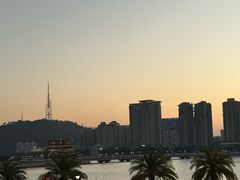 -野狸岛