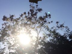 -北京麋鹿生态实验中心