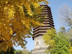 -玲珑塔公园