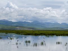 -花湖生态旅游区
