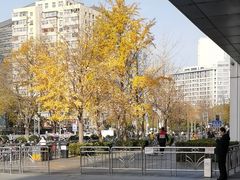 -小吊梨汤·北京菜·烤鸭(西直门凯德店)