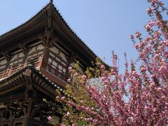 -西安青龙寺遗址景区