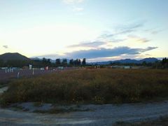 -北京东方普罗旺斯薰衣草庄园