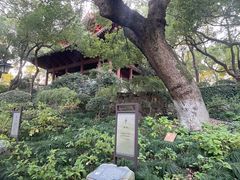 -城隍阁