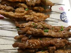 -胖嫂烧烤(武胜路总店)