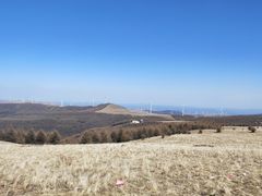 -红崖峡谷景区