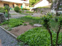 -柞水乾佑红门家菜