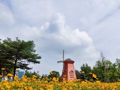 -顺峰山公园