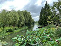 -昆山城市生态森林公园