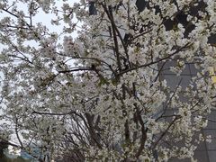 -比格比萨自助(南京万达茂店)