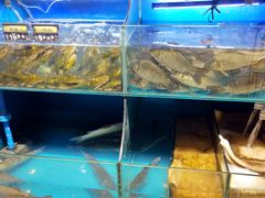 水产区-谊品生鲜折扣店(伟清中环店)