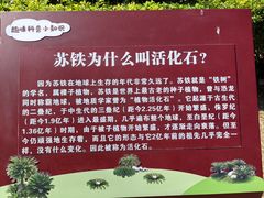 -攀枝花公园