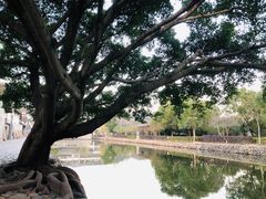 -楠溪江风景名胜区