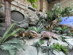 -国家自然博物馆